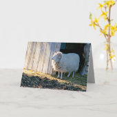 Carte Encouragement, jolie scène agricole à Sunlight (Fleur jaune)