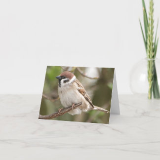 Carte Encouragement/moineau