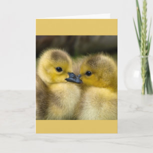 Carte Encouragement ou obtenir bien Cuddling Canettes