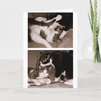 Carte Enfants de mêmes parents - frères et soeurs