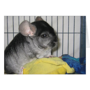 Carte enfin à la maison, Wubbzy et sa poupée de