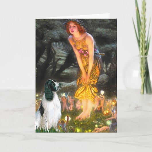 Carte English Springer 7 - MidEve (Devant)