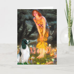 Carte English Springer 7 - MidEve