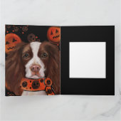 Carte English Springer Spaniel        (Intérieur)
