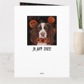 Carte English Springer Spaniel        (Dos)
