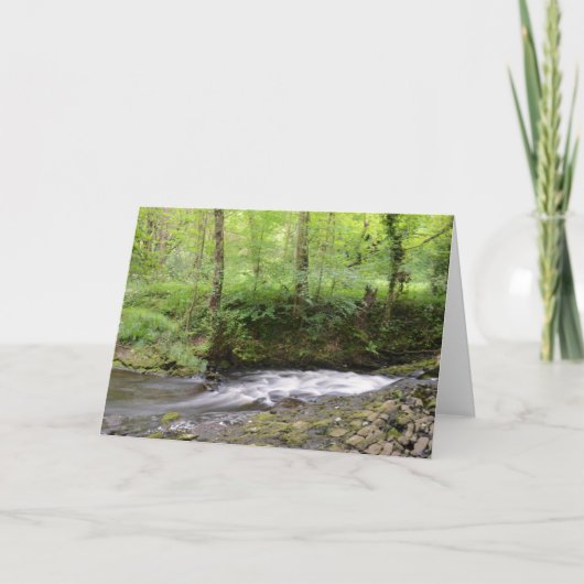 Carte English Woodland Stream (Devant)