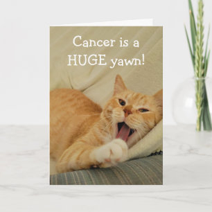 Carte Ennuyé De Cancer Drôle Chat