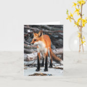Carte Enregistrer notre série Planet Red Fox note/carte  (Fleur jaune)