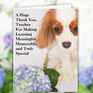 Carte Enseignant Merci Cavalier King Charles