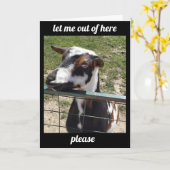 CARTE ENTENDRE QUE VOUS ÊTES "SOUS LE TEMPS" OBTENEZ LA (Fleur jaune)