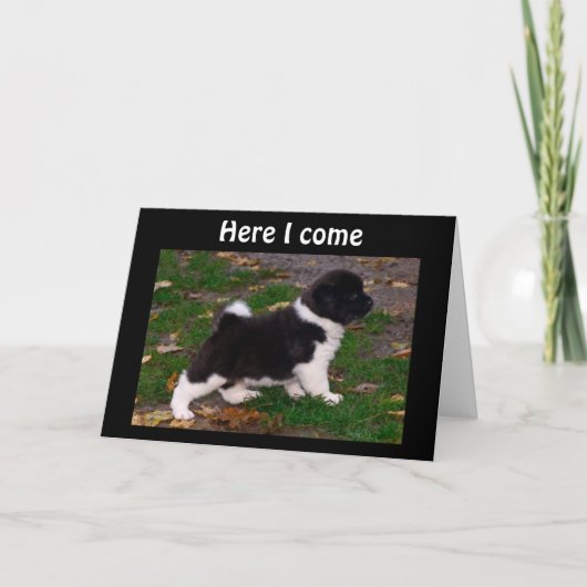 CARTE ENTENDU QUE VOUS ÊTES MALADE, VOUS VOUS SENTEZ MIE (Devant)