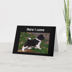 CARTE ENTENDU QUE VOUS ÊTES MALADE, VOUS VOUS SENTEZ MIE