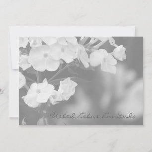 Carte Envitado estas