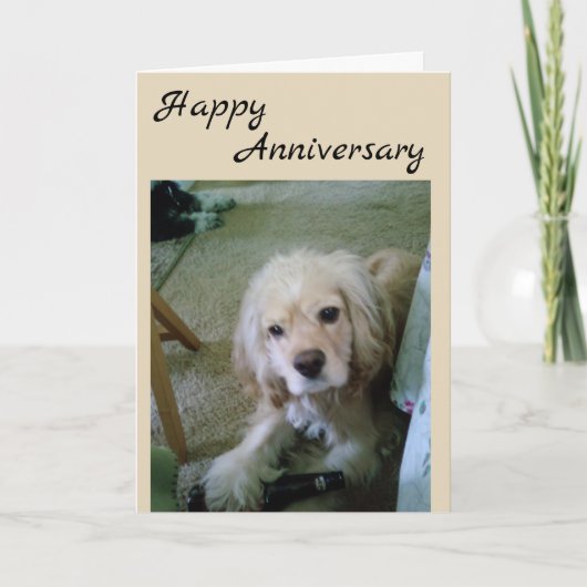 CARTE ÉPAGNEUL BRETON AVEC BIERRE - JOYEUX ANNIVERSAIRE (Devant)