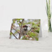 Carte Épervier (Devant)