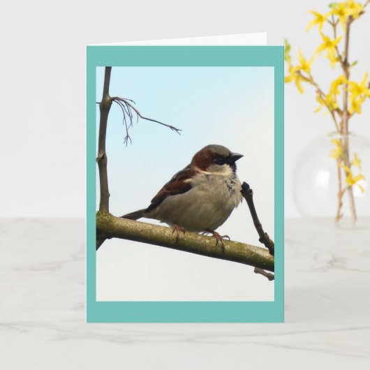 Carte Épervier (Fleur jaune)