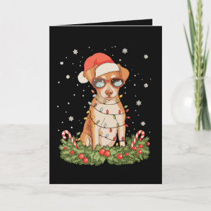 Carte Épingle de chien de Noël Pinscher Xmas Chapeau de