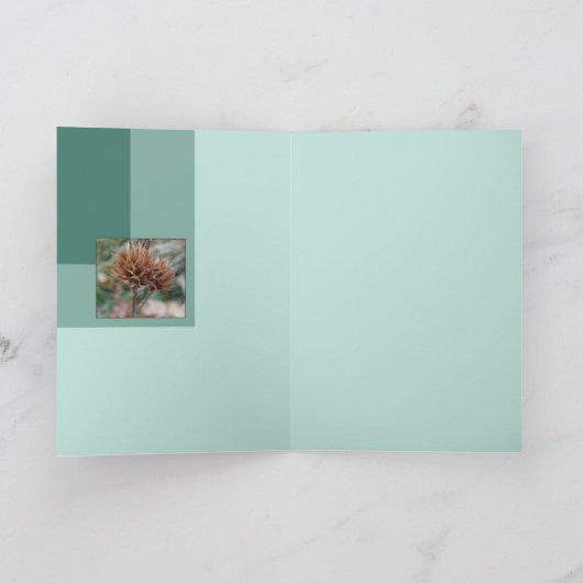 Carte Équateur (Intérieur)