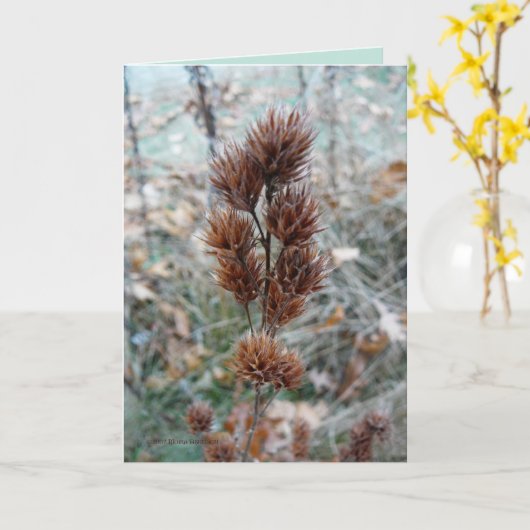 Carte Équateur (Fleur jaune)