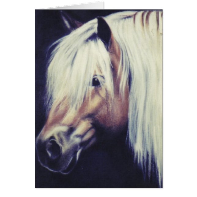 Carte équine "de poney de Haflinger" (Devant)