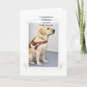 Carte Équipe de chien guide jaune diplômé