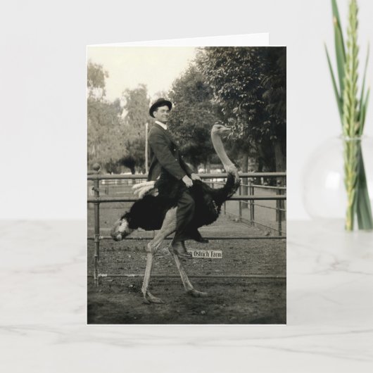 Carte Équitation 1910 d'autruche (Devant)