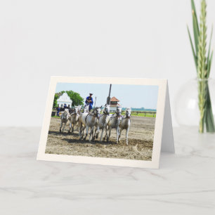 Carte Équitation hongroise