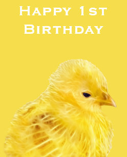 Cartes Poussin D Anniversaire Zazzle Be Cartes Poussin D Anniversaire Zazzle Be