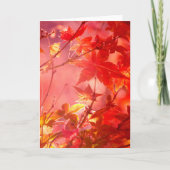 Carte Érable (Devant)