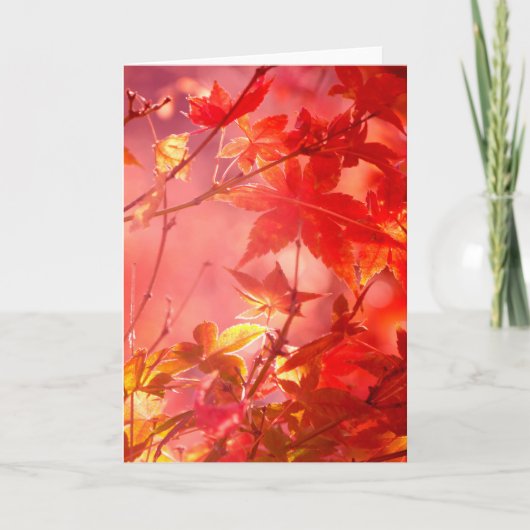 Carte Érable (Devant)