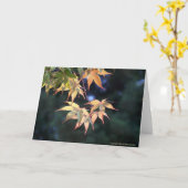 Carte Érable 5 (Fleur jaune)