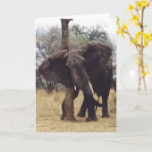 Carte Éraflure de Tembo (éléphant) (Fleur jaune)