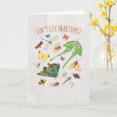 Carte Eric Carle | La vie n'est-elle pas belle ? (Fleur jaune)