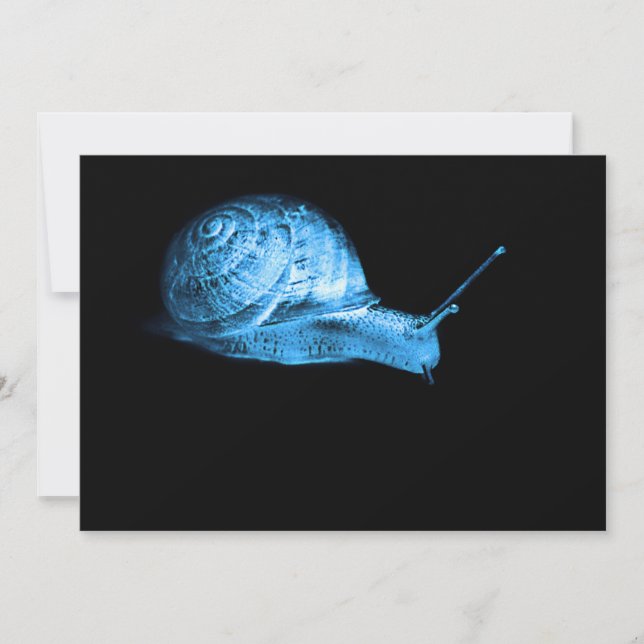 Carte Escargot néon (Devant)