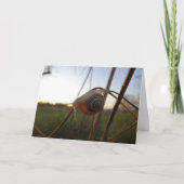 Carte Escargot sur une tige (Devant)