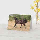 Carte Espagnol Brown foncé Mustang Mare marcher (Fleur jaune)