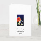 Carte Espagnol : Cumpleanos d'anniversaire/Feliz ! (Dos)