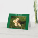 CARTE ESPAGNOL DIT QUE MADAME MAMAN, ANNIVERSAIRE ET HEU<br><div class="desc">AIME NOTRE CHIEN ! ESPÉREZ QUE VOUS LE FAITES AUSSI (MAIS MAINTENANT IL A 10 ANS) ET IL VEUT QUE VOTRE MÈRE AIT UN ANNIVERSAIRE TRÈS HEUREUX. MERCI D'ARRÊTER À L'UN DE MES HUIT MAGASINS !!!</div>