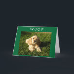 CARTE ESPAGNOL DIT QUE MADAME MAMAN, ANNIVERSAIRE ET HEU<br><div class="desc">AIME NOTRE CHIEN ! ESPÉREZ QUE VOUS LE FAITES AUSSI (MAIS MAINTENANT IL A 10 ANS) ET IL VEUT QUE VOTRE MÈRE AIT UN ANNIVERSAIRE TRÈS HEUREUX. MERCI D'ARRÊTER À L'UN DE MES HUIT MAGASINS !!!</div>