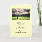 Carte Espagnol : Pesame (Devant)