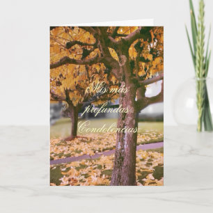 Carte Espagnol : Pesame /Sympathie