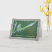 Carte Espagnol Sympathy Raindrop sur Olive Leaf (Fleur jaune)