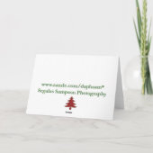 Carte espagnole (Dos)