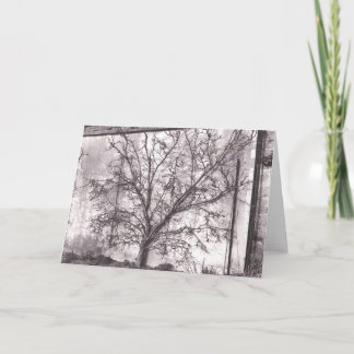 Carte Espalier