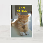 CARTE **ESPÉRONS QUE VOUS VOUS SENTIREZ MIEUX** (Devant)