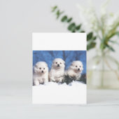 Carte esquimaude américaine de chiot (Debout devant)