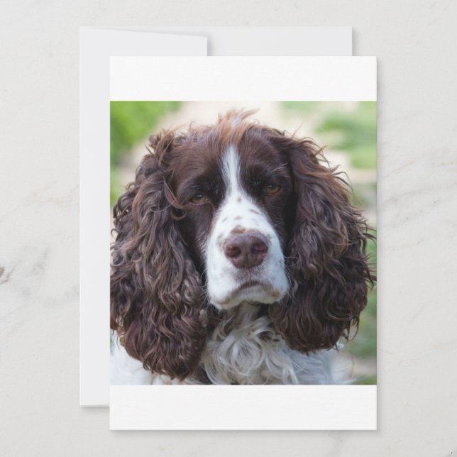 Carte ESS foie blanc seconde (Devant)