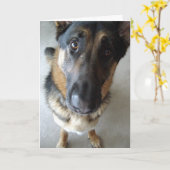 Carte Est-ce que je sens le gâteau ? voeux d'anniversair (Fleur jaune)