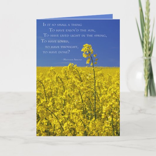 Carte Est-ce si petit ? (Devant)