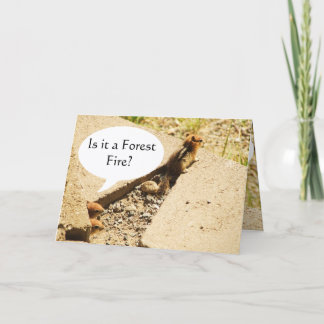 Carte Est-ce un feu de forêt ?
